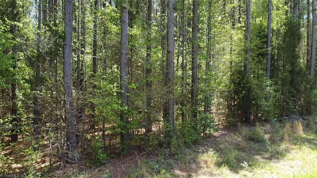 2911 Rockcrusher Road Lexington, NC 27292 - Photo 4 of 4 Gallery Image 4