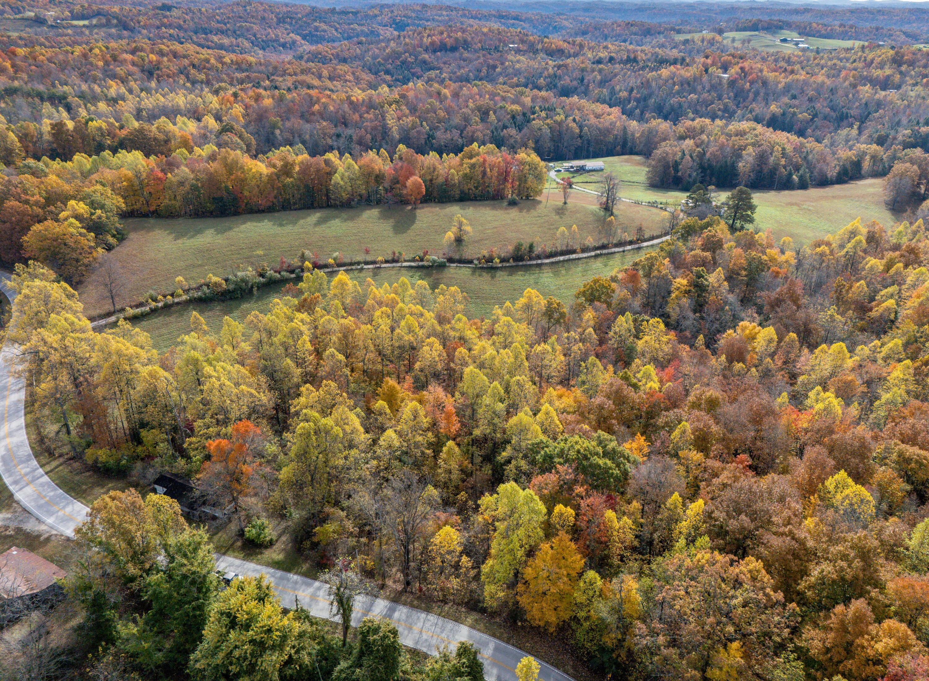 11039 Brown Ridge Road Morehead, KY 40351 - Photo 55 of 55 DJI_20251104104942_0009_D