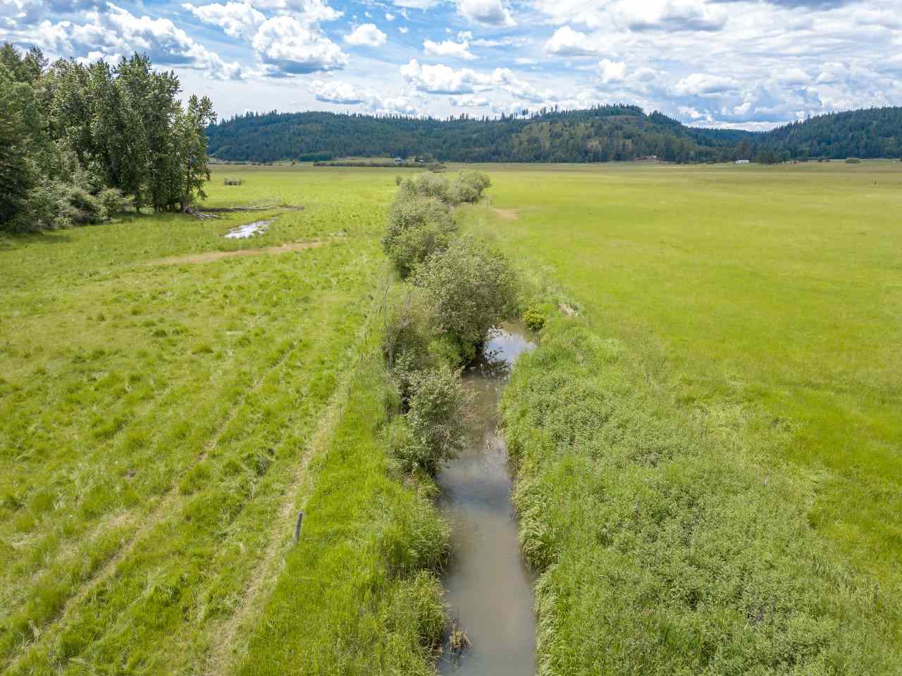 0 Springdale-Hunters Road, Unit LOT 3 Springdale, WA 99173 - Photo 14 of 19