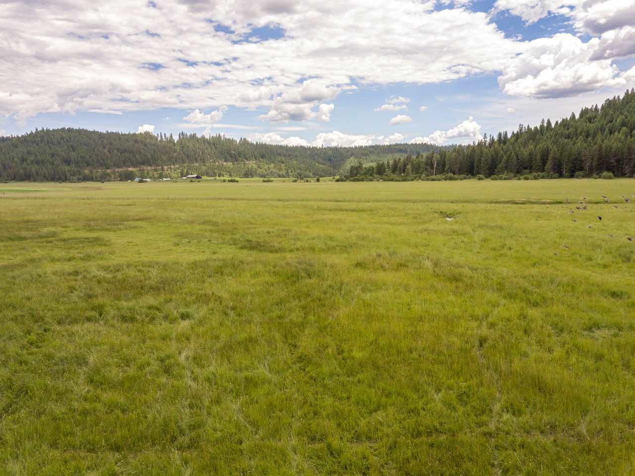0 Springdale-Hunters Road, Unit LOT 3 Springdale, WA 99173 - Photo 16 of 19