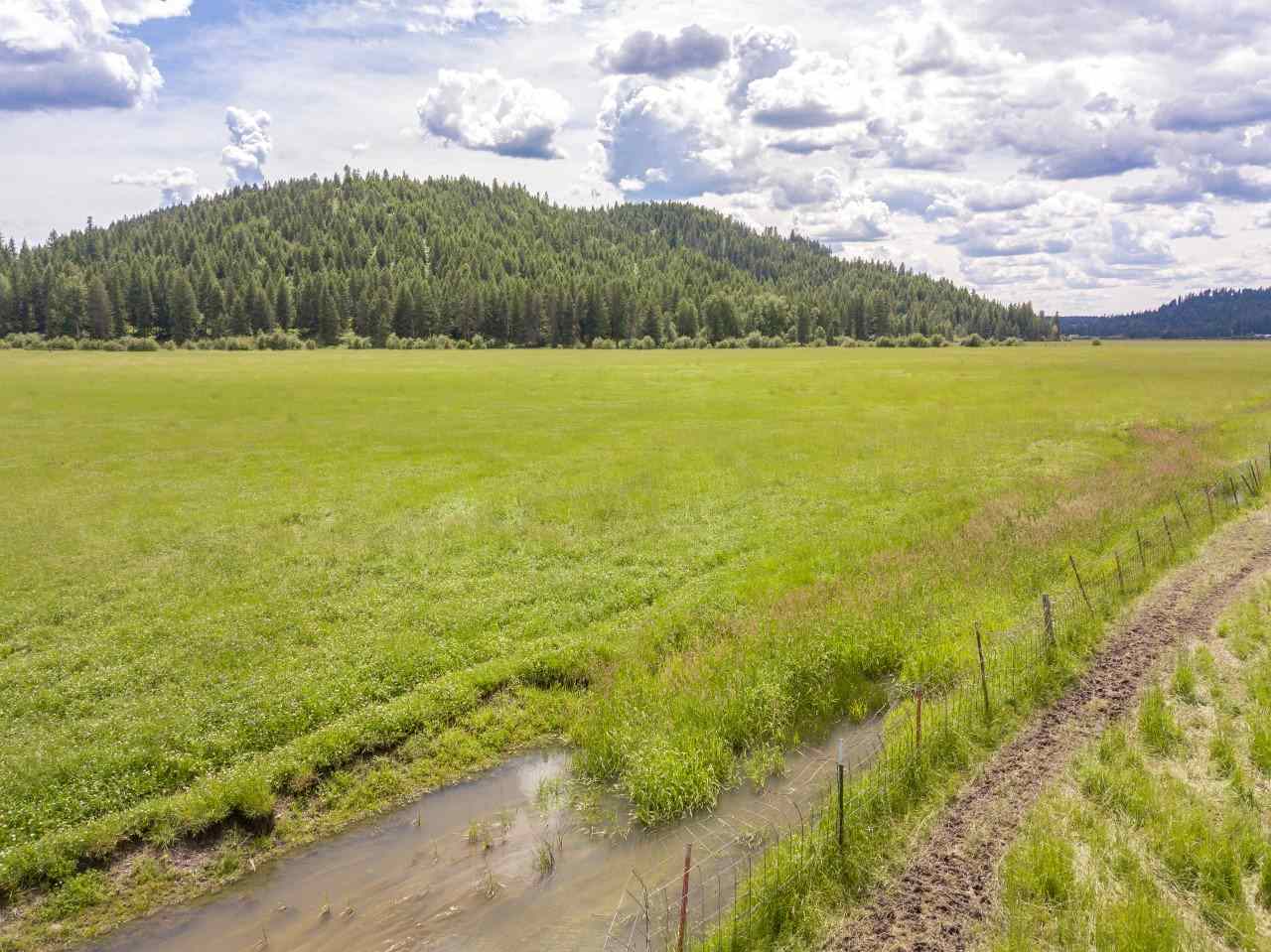 0 Springdale-Hunters Road, Unit LOT 3 Springdale, WA 99173 - Photo 17 of 19