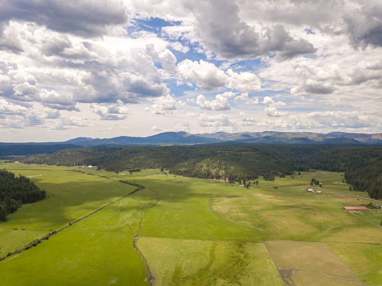 0 Springdale-Hunters Road, Unit LOT 3 Springdale, WA 99173 - Photo 3 of 19