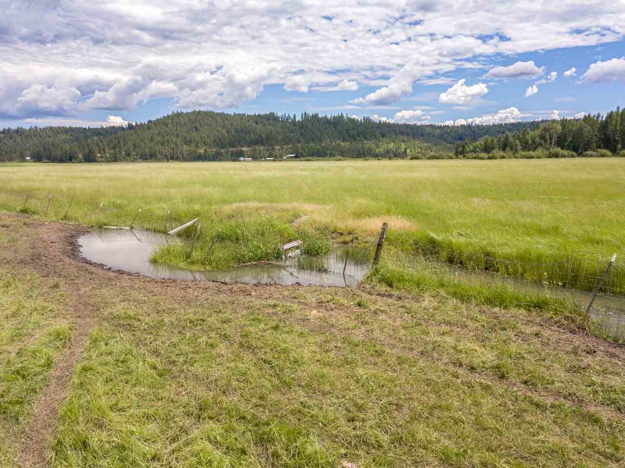 0 Springdale-Hunters Road, Unit LOT 3 Springdale, WA 99173 - Photo 5 of 19