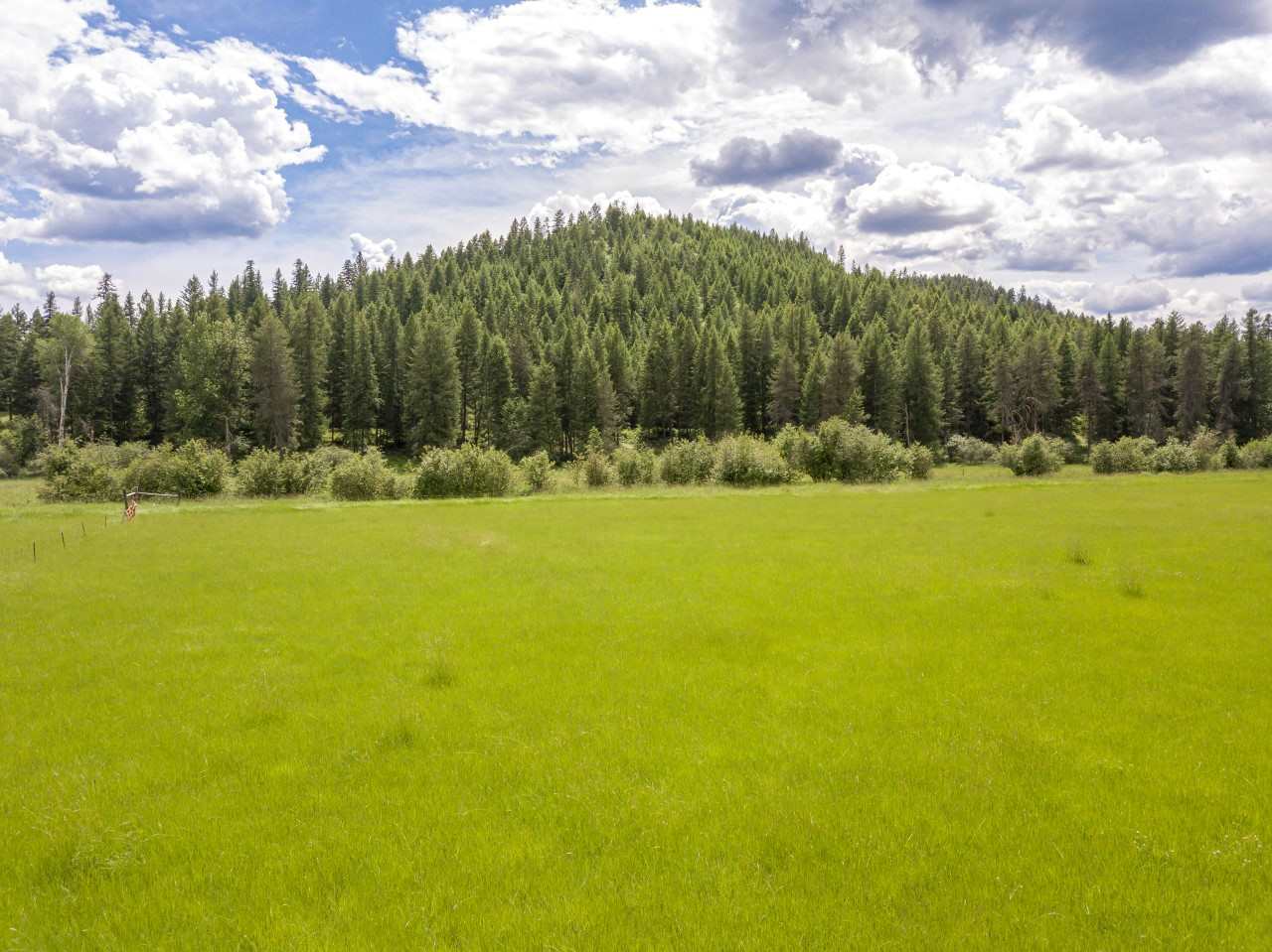 0 Springdale-Hunters Road, Unit LOT 3 Springdale, WA 99173 - Photo 7 of 19