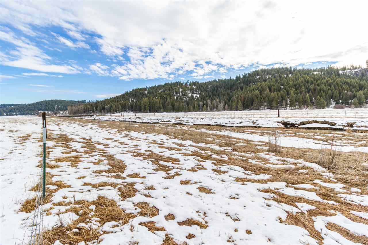 0 Springdale-Hunters Road, Unit LOT 3 Springdale, WA 99173 - Photo 8 of 19