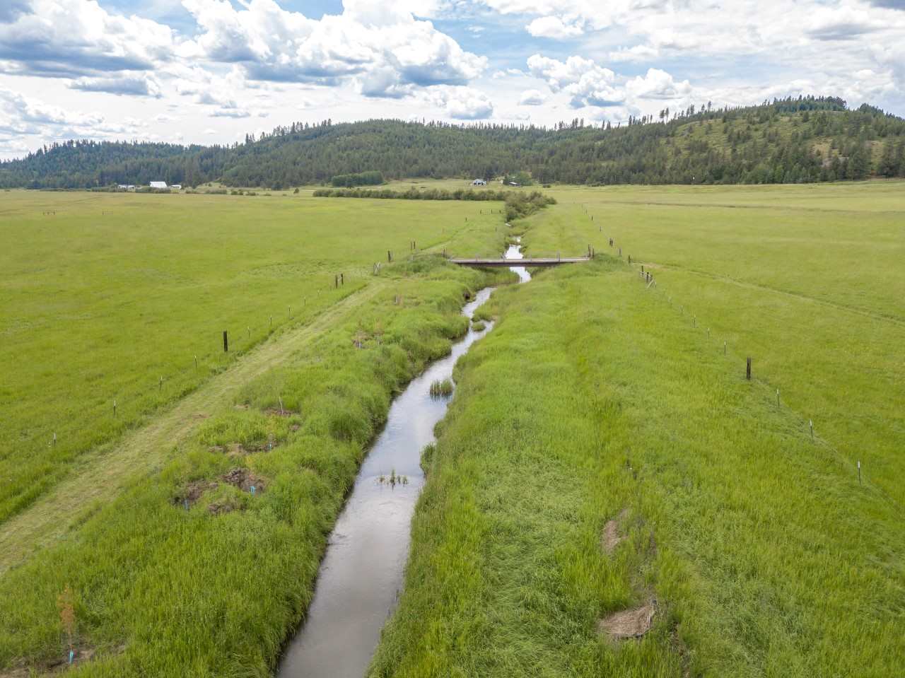 0 Springdale-Hunters Road, Unit LOT 3 Springdale, WA 99173 - Photo 10 of 19