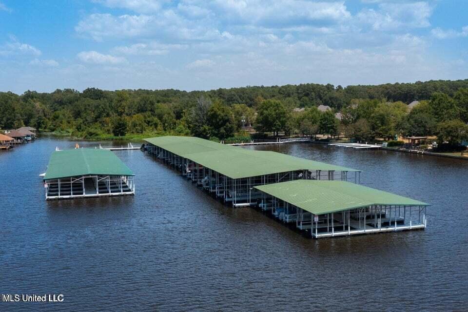 116 Port Lane Brandon, MS 39047 - Photo 74 of 84 pic 25