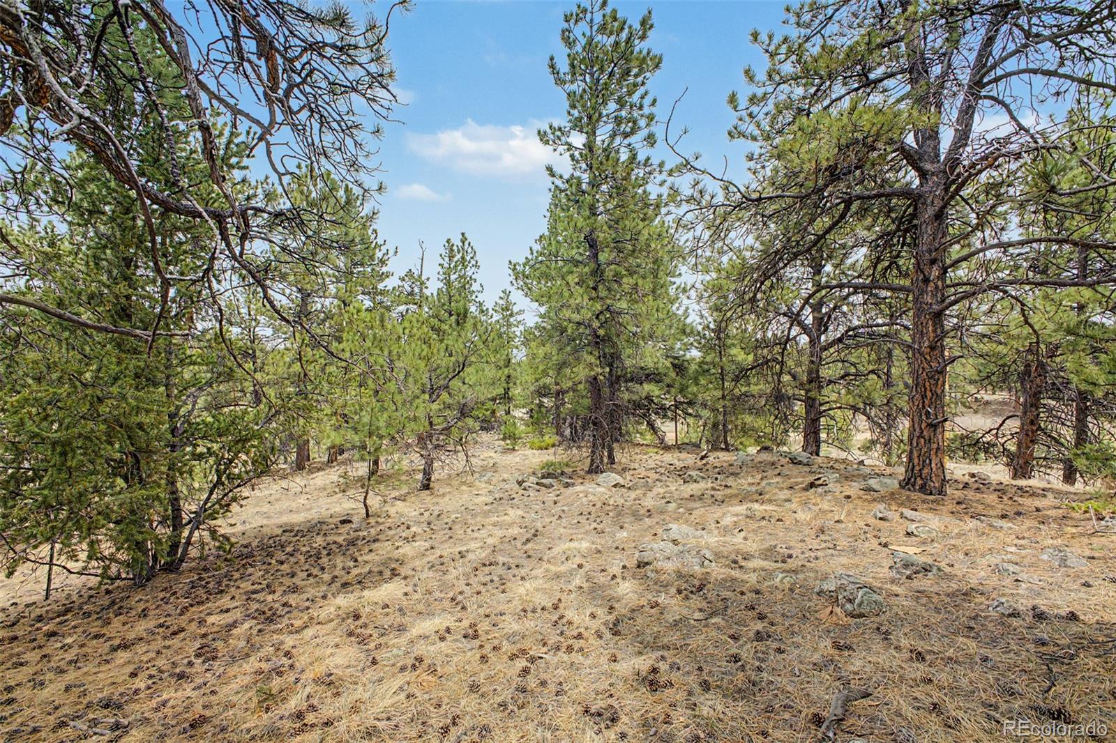 0 Ranger Station Road Florissant, CO 80816 - Photo 23 of 38 Gallery Image 23