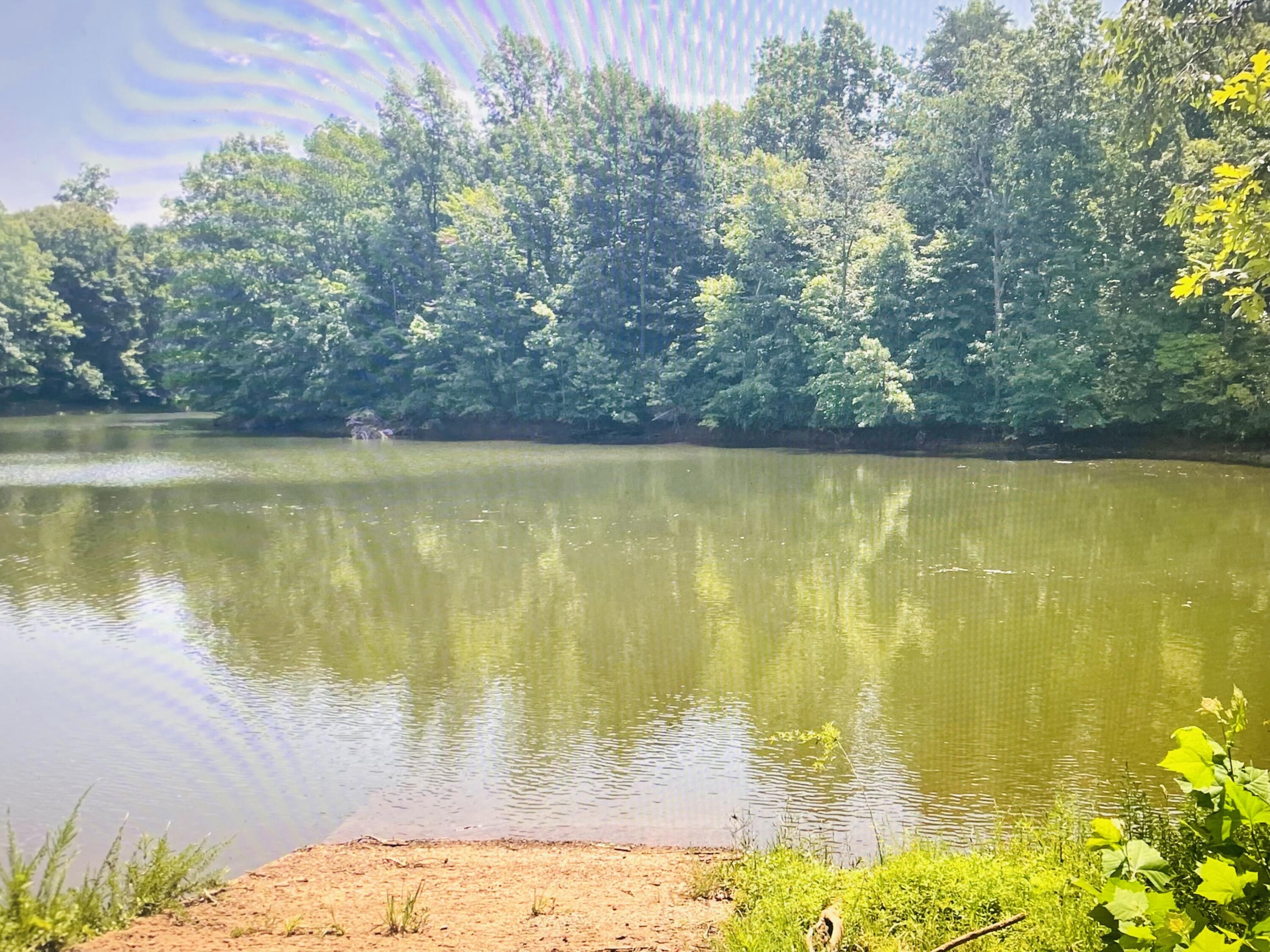 Lot 5 Falcon Ridge Drive Gretna, VA 24557 - Photo 4 of 7 Lot 5 Boat Ramp