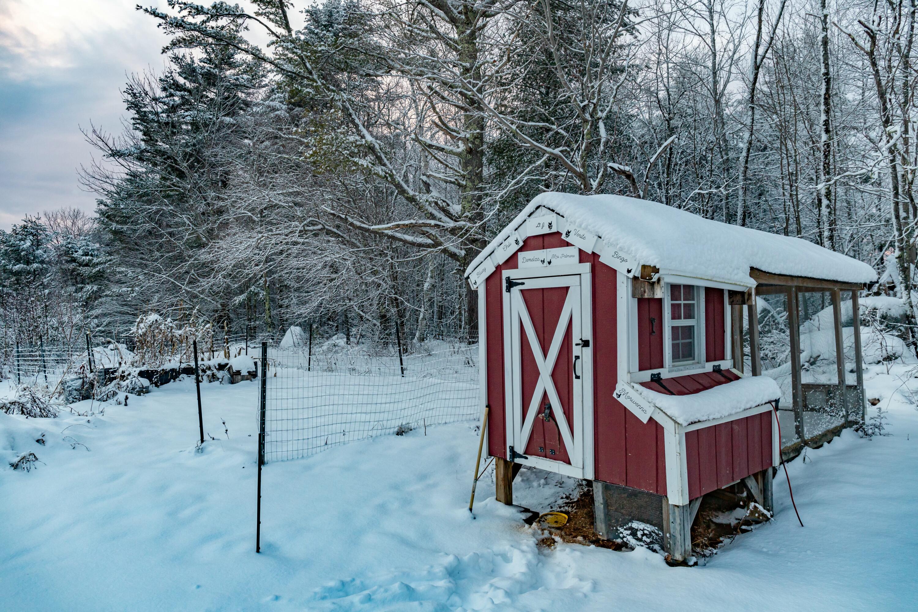 2076 Mann Hill Road Dedham, ME 04429 - Photo 15 of 81 tempImagew7dUNc