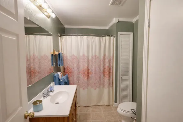 a bathroom with a sink a toilet and shower curtain