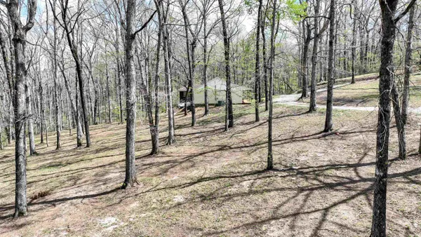 a view of a backyard of the house