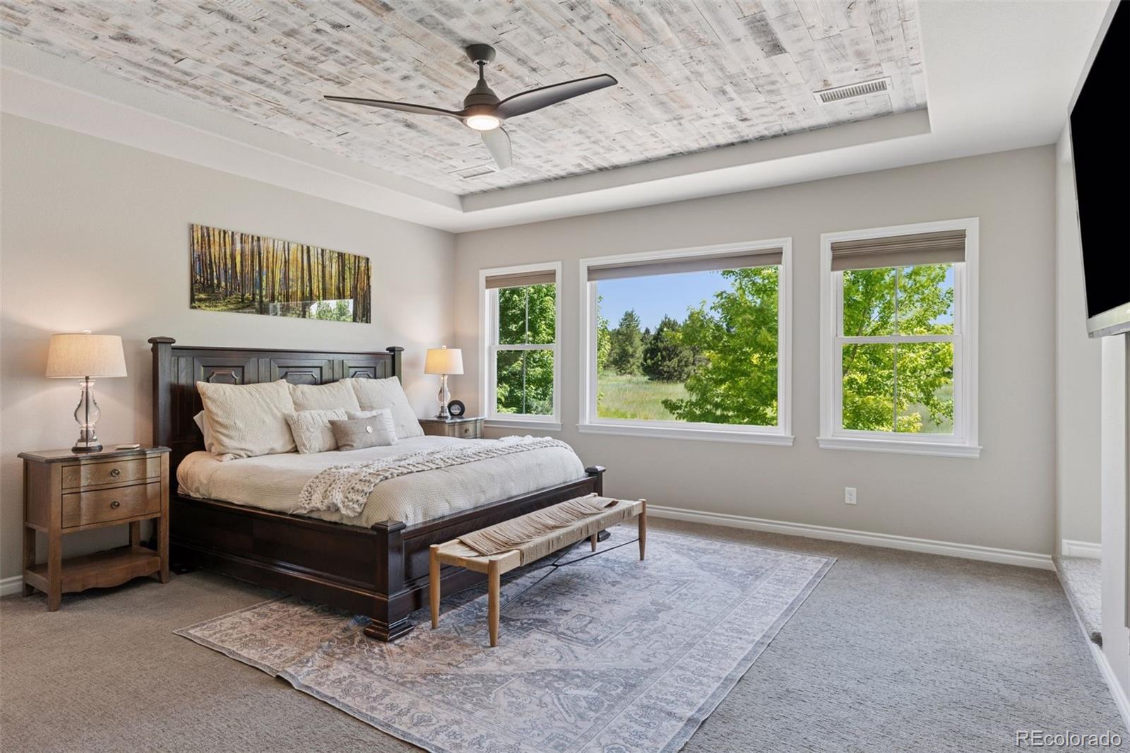 228 Maplehurst Point Highlands Ranch, CO 80126 - Photo 24 of 50 Gallery Image 24