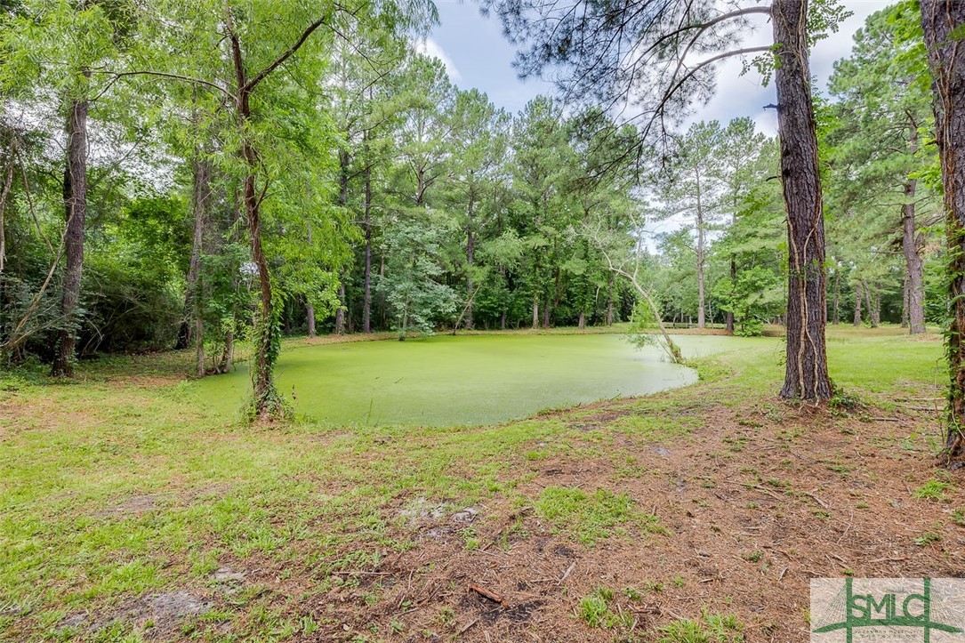 35 Bl Kendrick Road Brooklet, GA 30415 - Photo 34 of 36