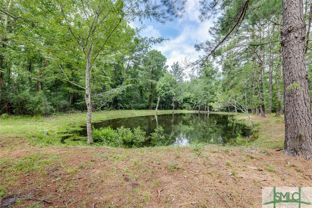 35 Bl Kendrick Road Brooklet, GA 30415 - Photo 35 of 36