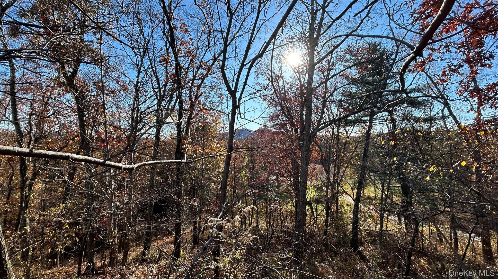 View of Stissing Mountain from proposed house location