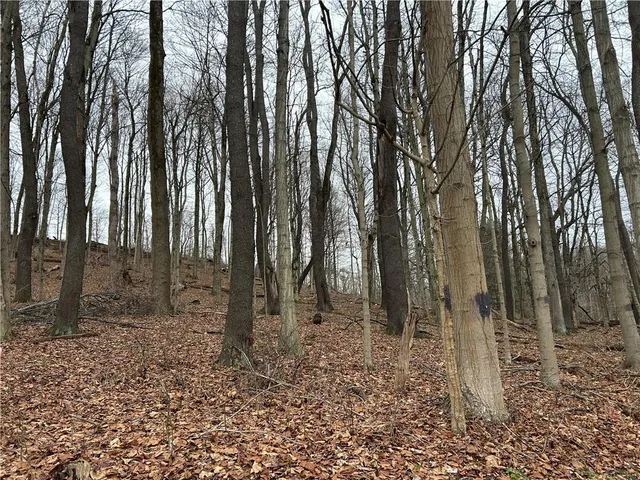 $148,500 | Bieda Lot Davis School Road, Washington, PA 15301