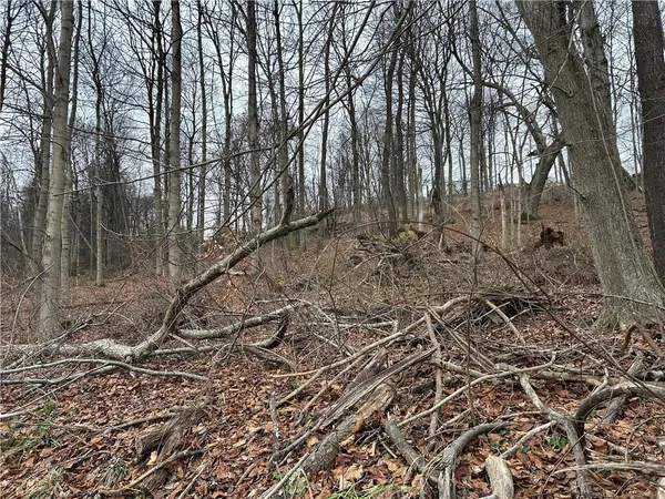 $115,000 | Bieda Lot Davis School Road, Washington, PA 15301