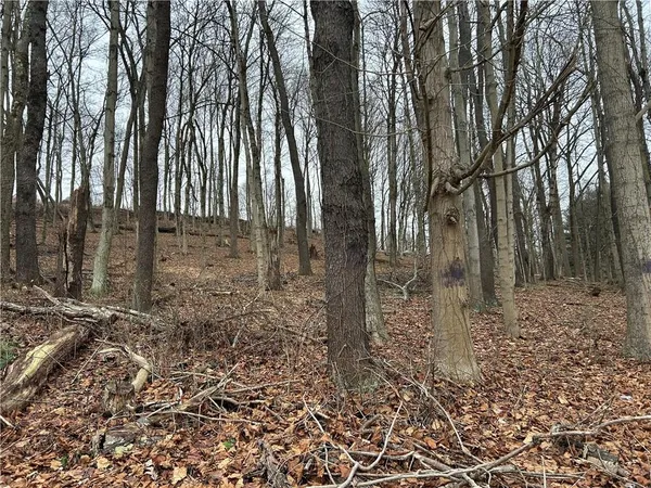 $115,000 | Bieda Lot Davis School Road, Washington, PA 15301