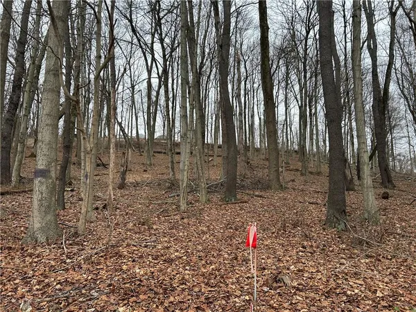 $115,000 | Bieda Lot Davis School Road, Washington, PA 15301