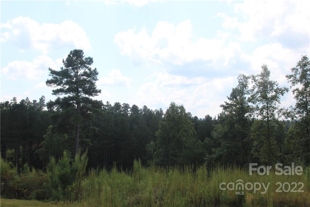 2038-2048 Inlet Shore Road Northeast, Unit 24 & 25 Connelly Springs, NC 28612 - Photo 5 of 13 a view of a lake with a tree in front of it