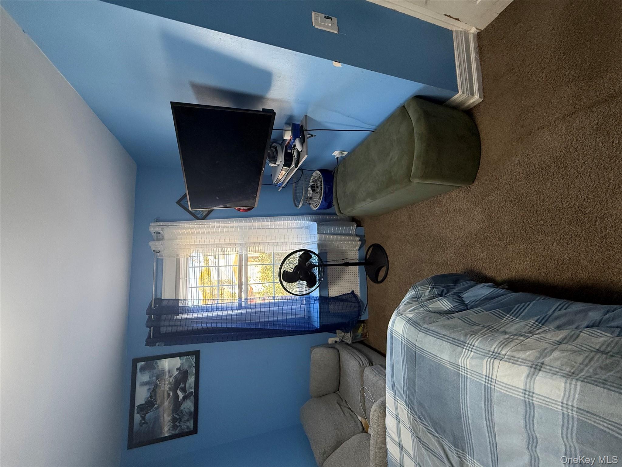 136-29 220th Place Queens, NY 11413 - Photo 39 of 45 Bedroom with carpet and baseboards