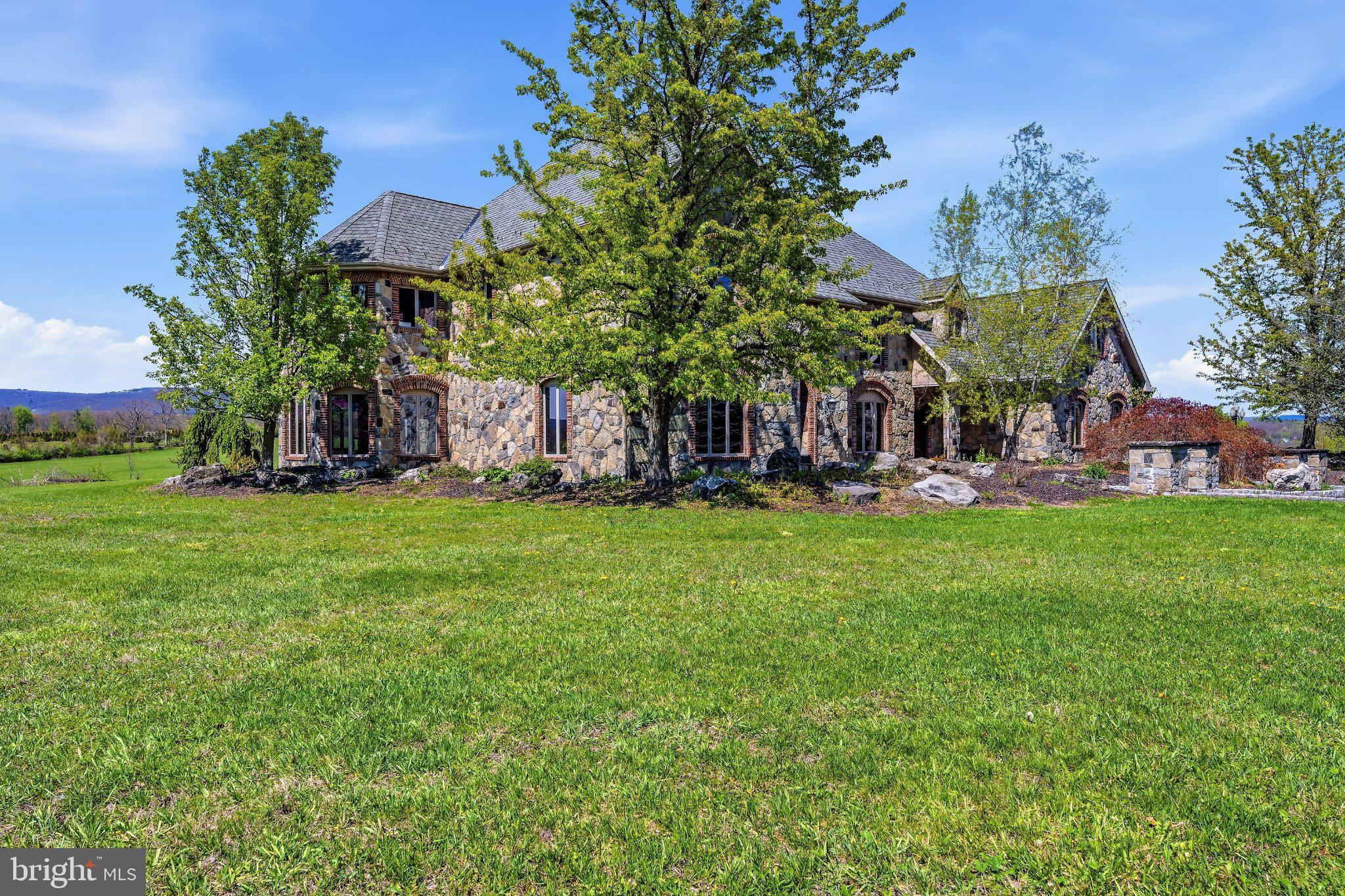 216 Merwinsburg Road Effort, PA 18330 - Photo 3 of 75 Stunning stone estate on lush grounds.