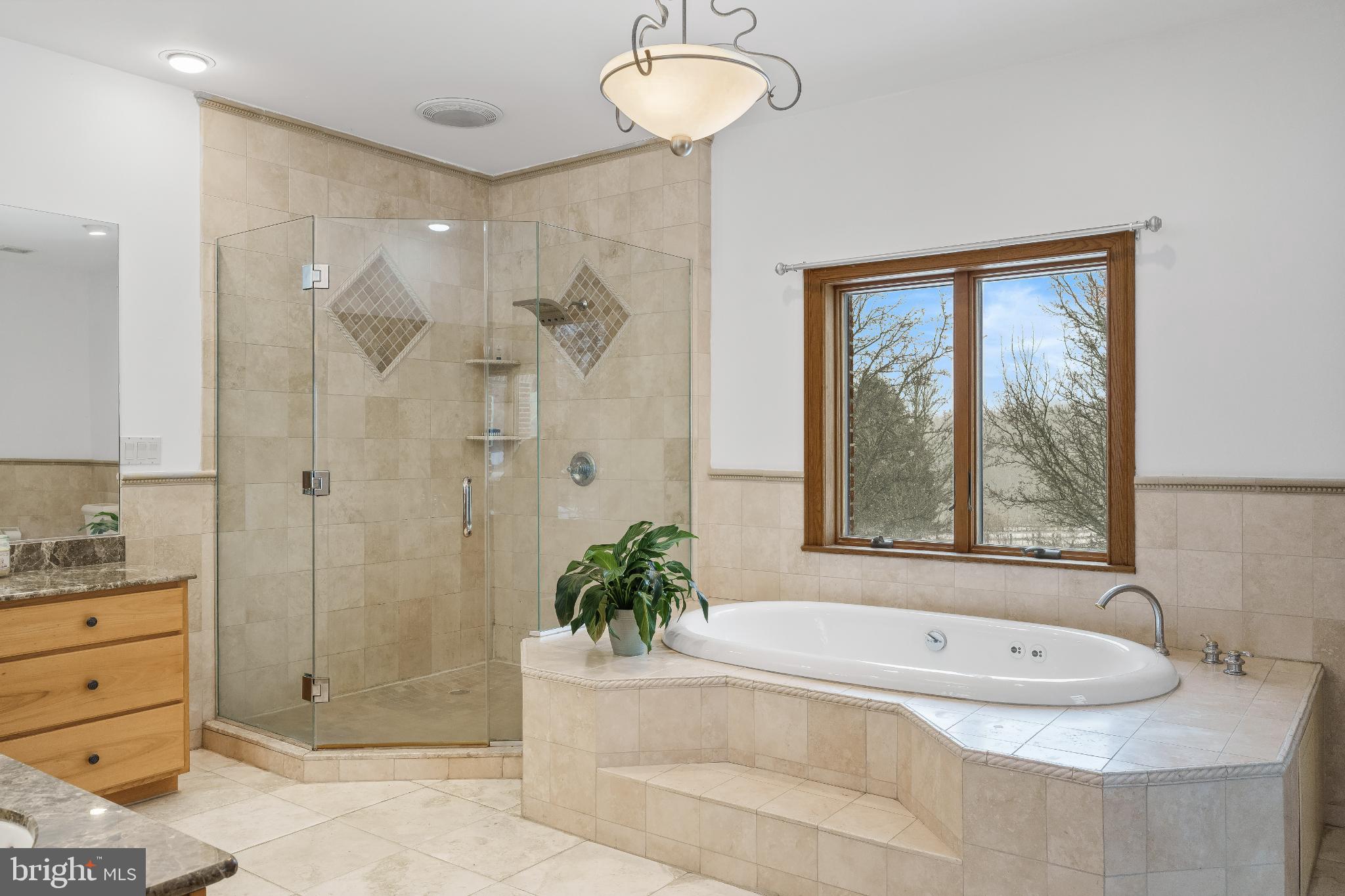 216 Merwinsburg Road Effort, PA 18330 - Photo 37 of 75 Serene spa-like bathroom retreat.