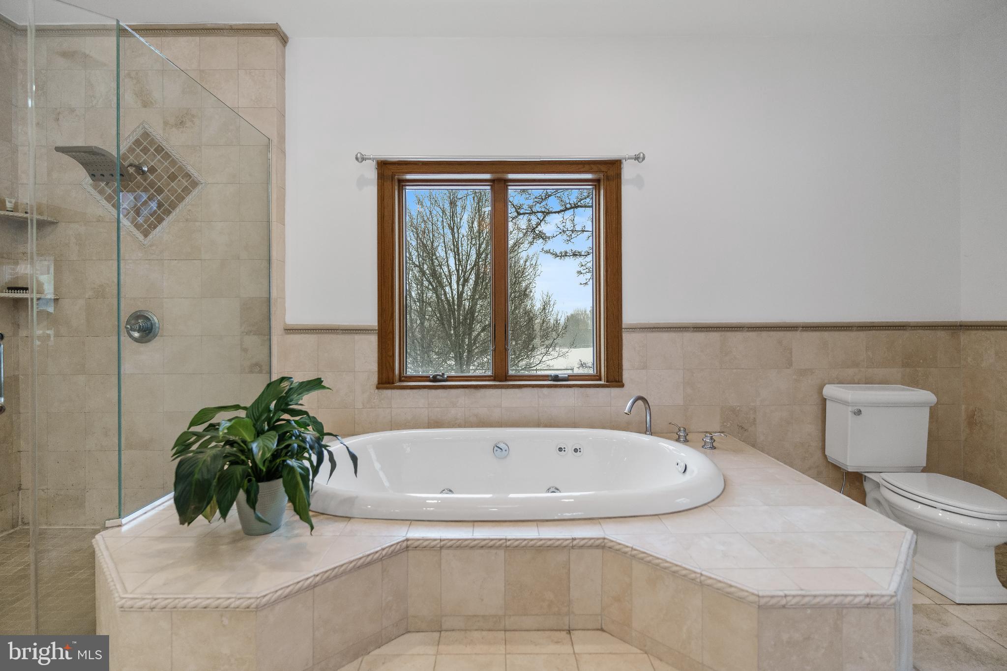 216 Merwinsburg Road Effort, PA 18330 - Photo 39 of 75 Serene spa-like bathroom retreat.