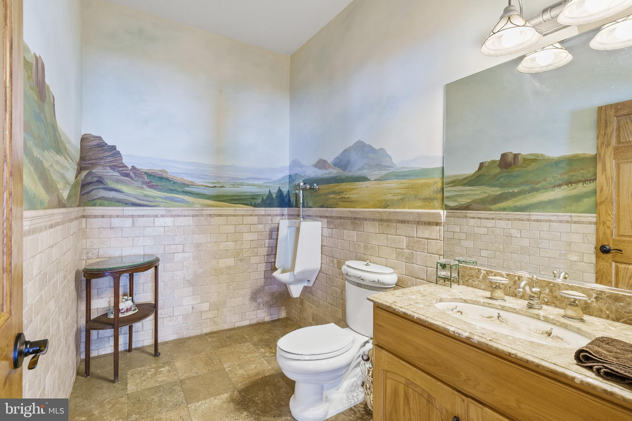 216 Merwinsburg Road Effort, PA 18330 - Photo 58 of 75 Serene bathroom with scenic mural backdrop.