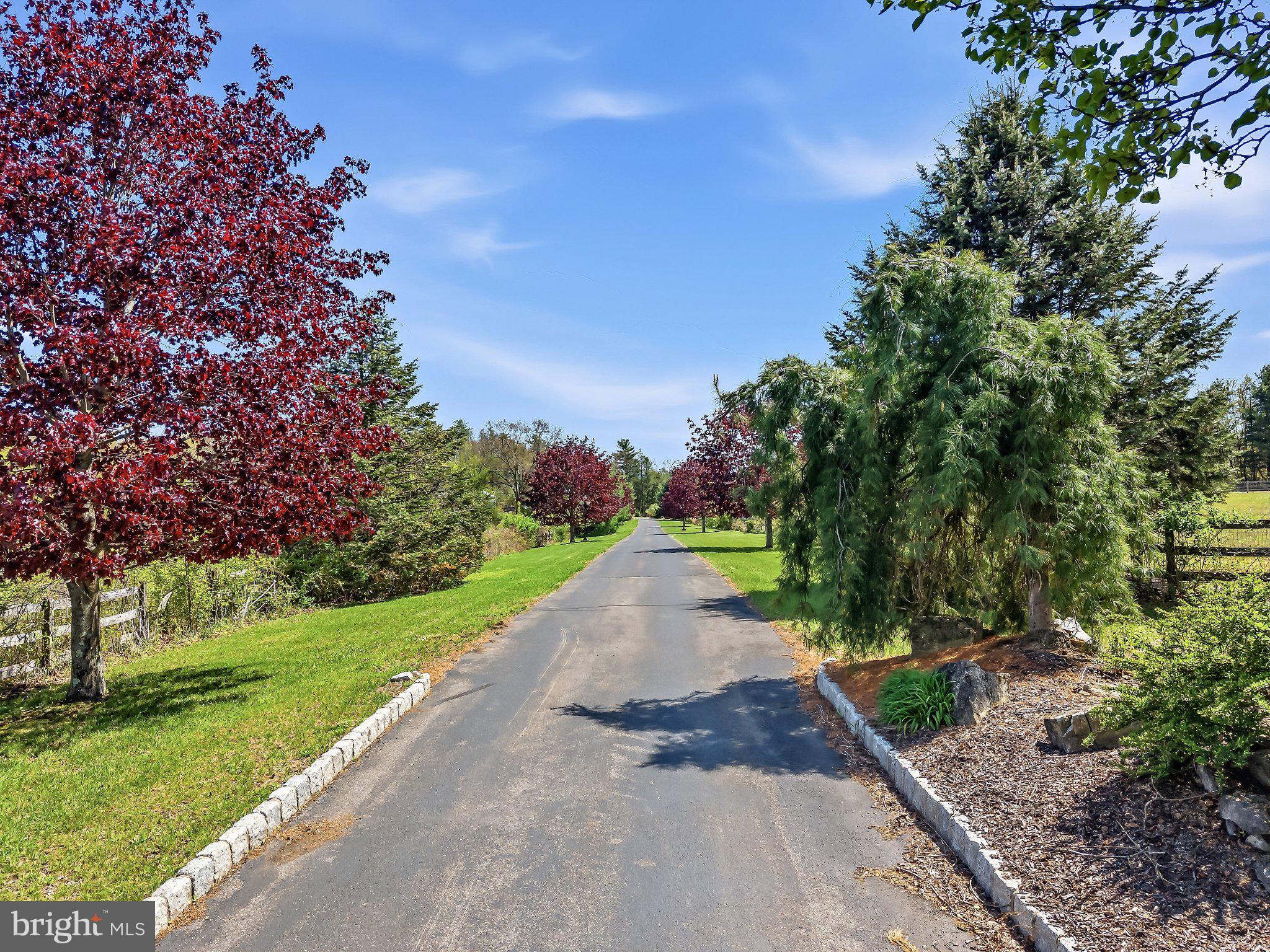 216 Merwinsburg Road Effort, PA 18330 - Photo 59 of 75 Scenic drive lined with vibrant trees.