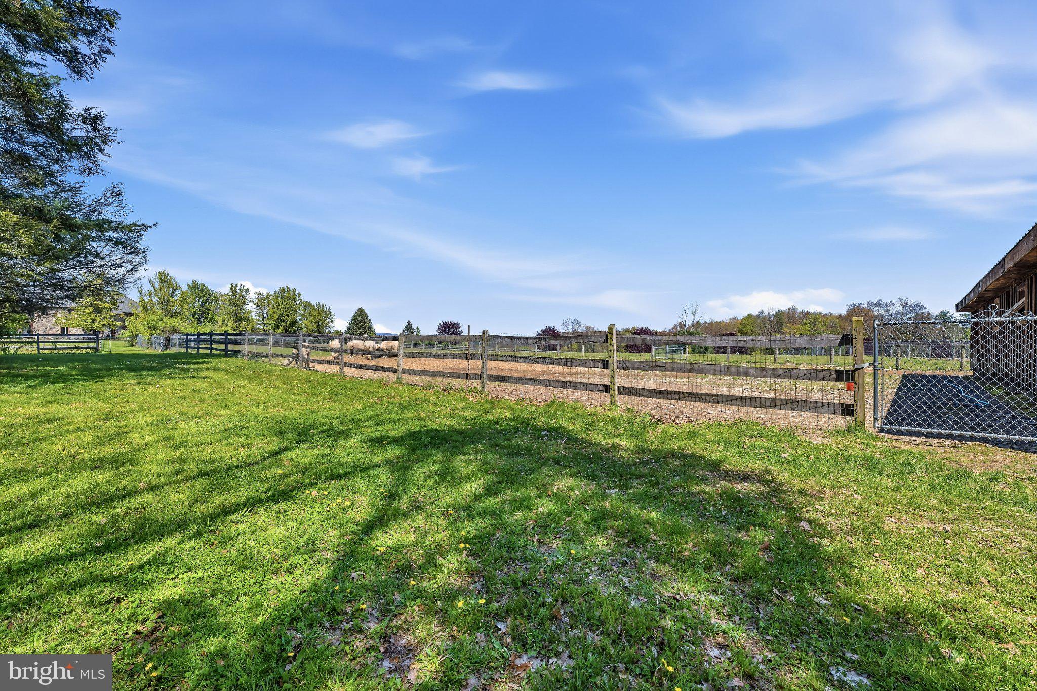 216 Merwinsburg Road Effort, PA 18330 - Photo 60 of 75 Spacious green pasture with serene views.