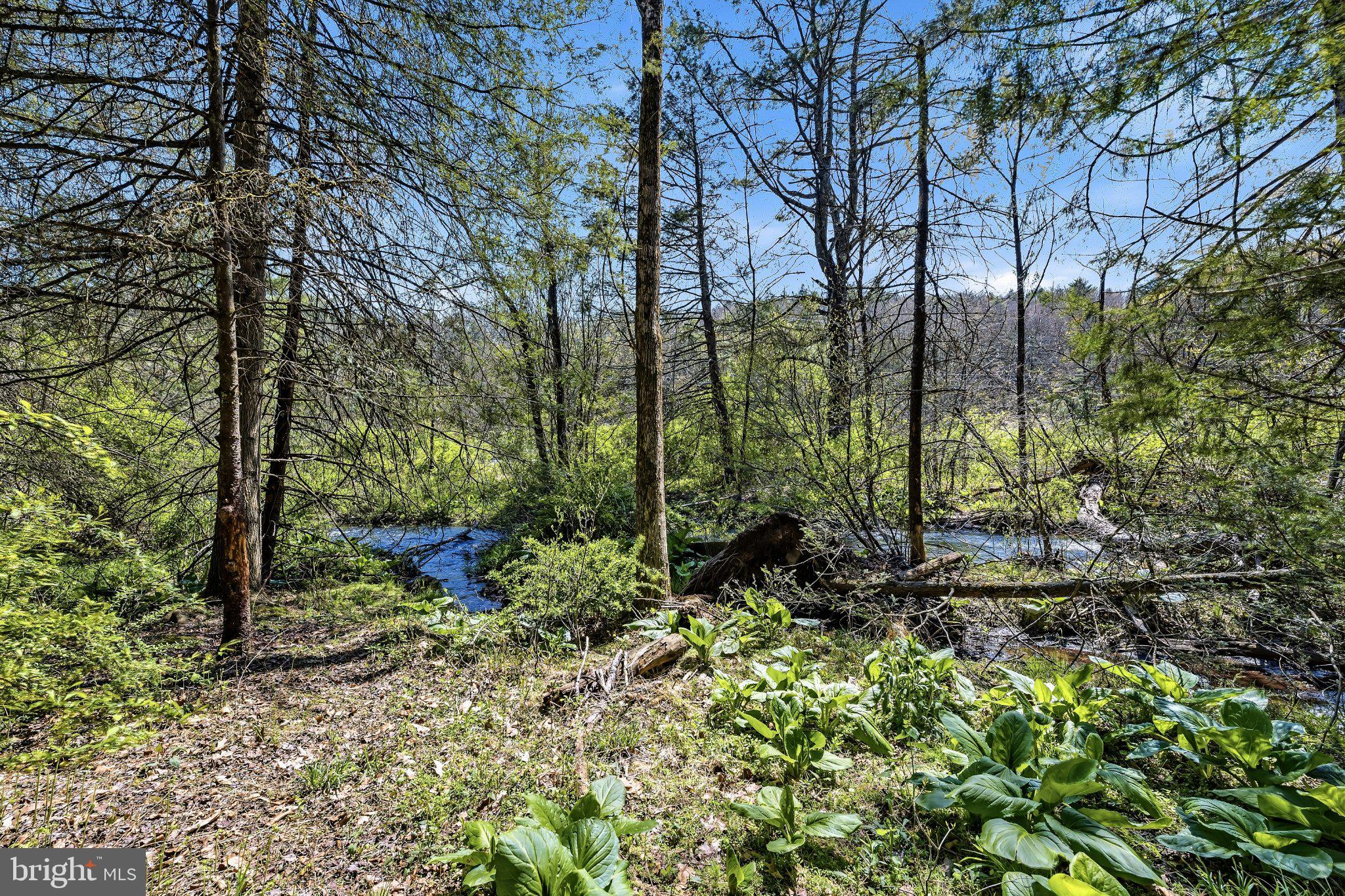 216 Merwinsburg Road Effort, PA 18330 - Photo 73 of 75 Serene woodland retreat by the stream.