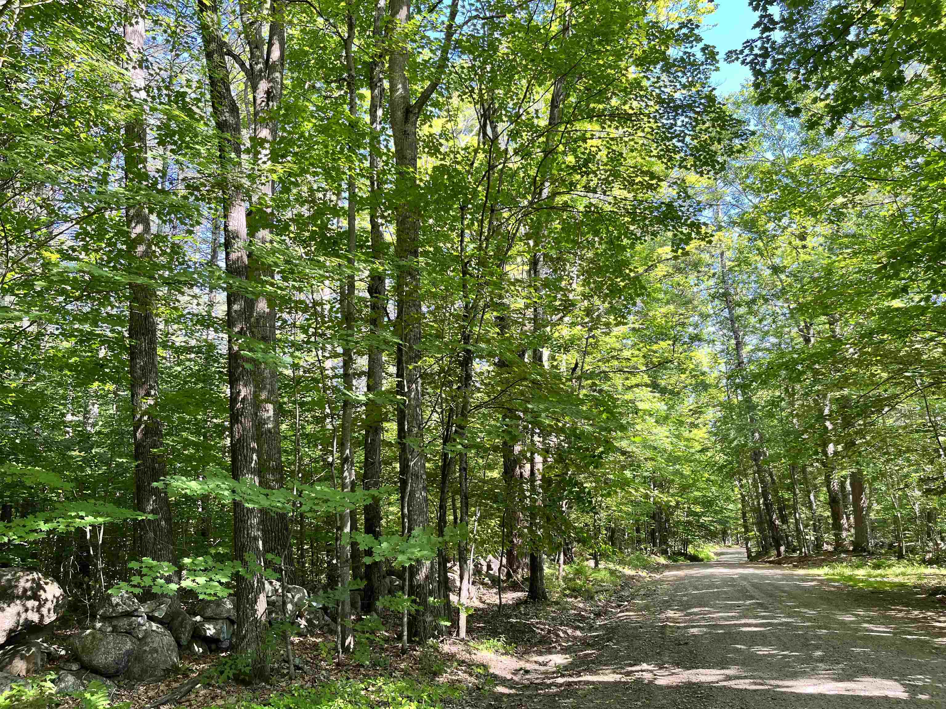 Gerrish Road, Unit 4343 Webster, NH 03303 - Photo 1 of 15