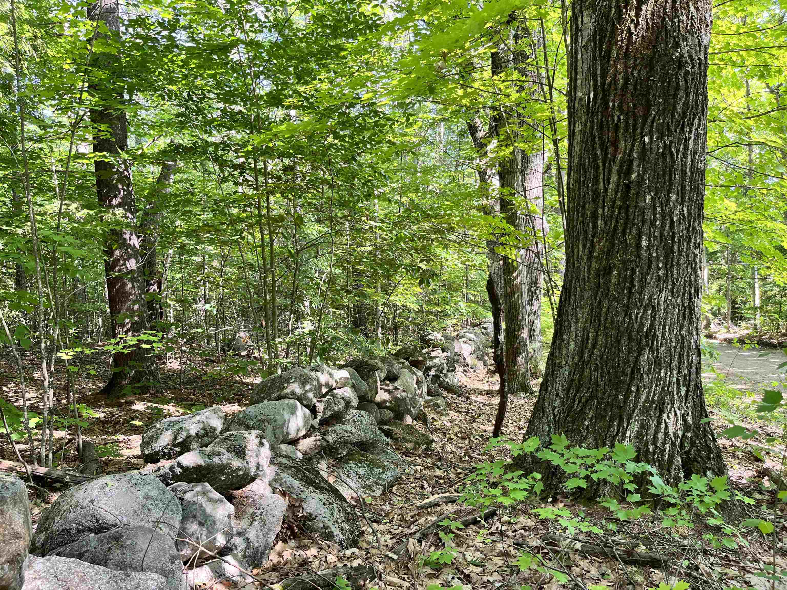 Gerrish Road, Unit 4343 Webster, NH 03303 - Photo 3 of 15
