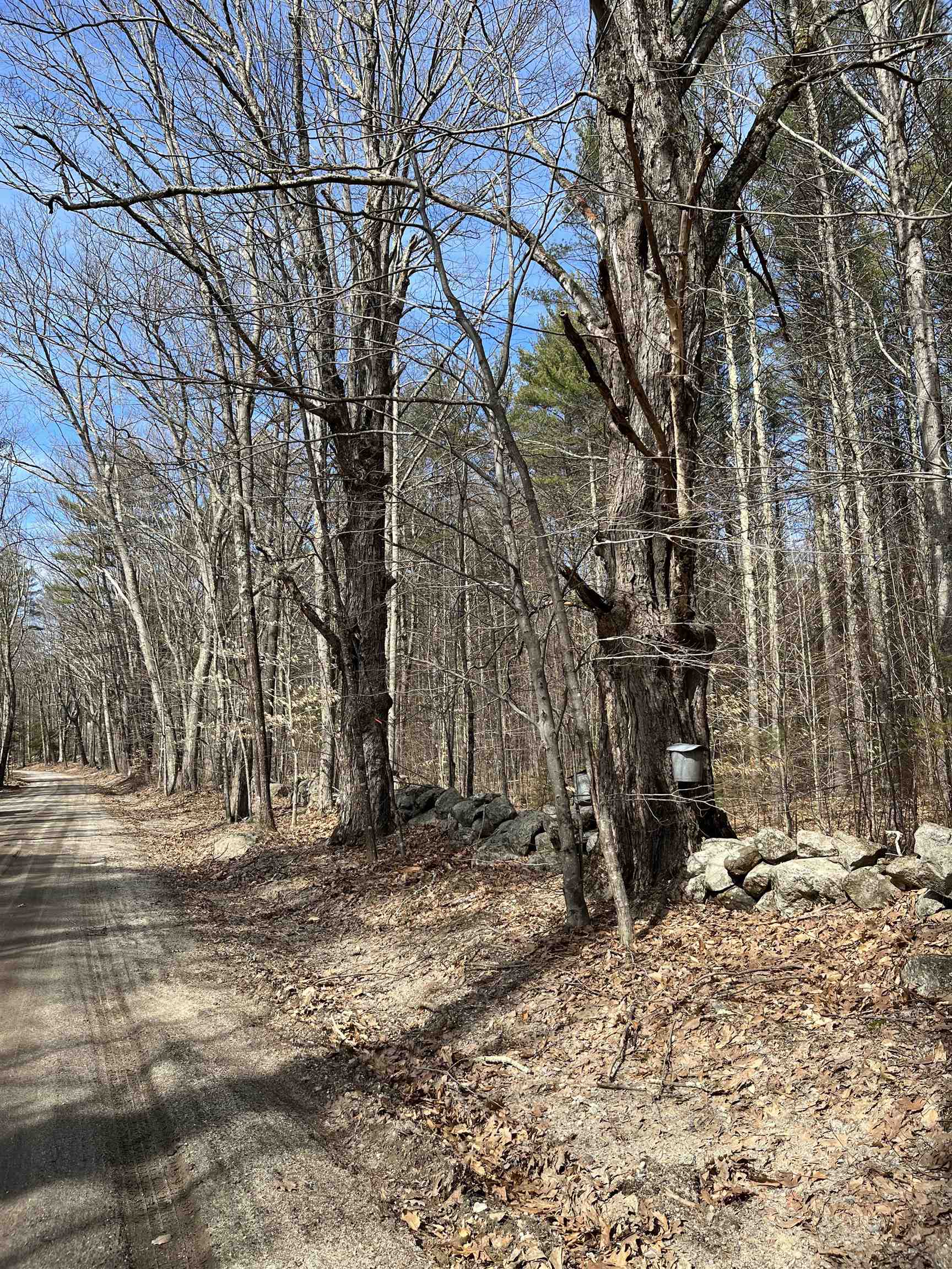 Gerrish Road, Unit 4343 Webster, NH 03303 - Photo 4 of 15