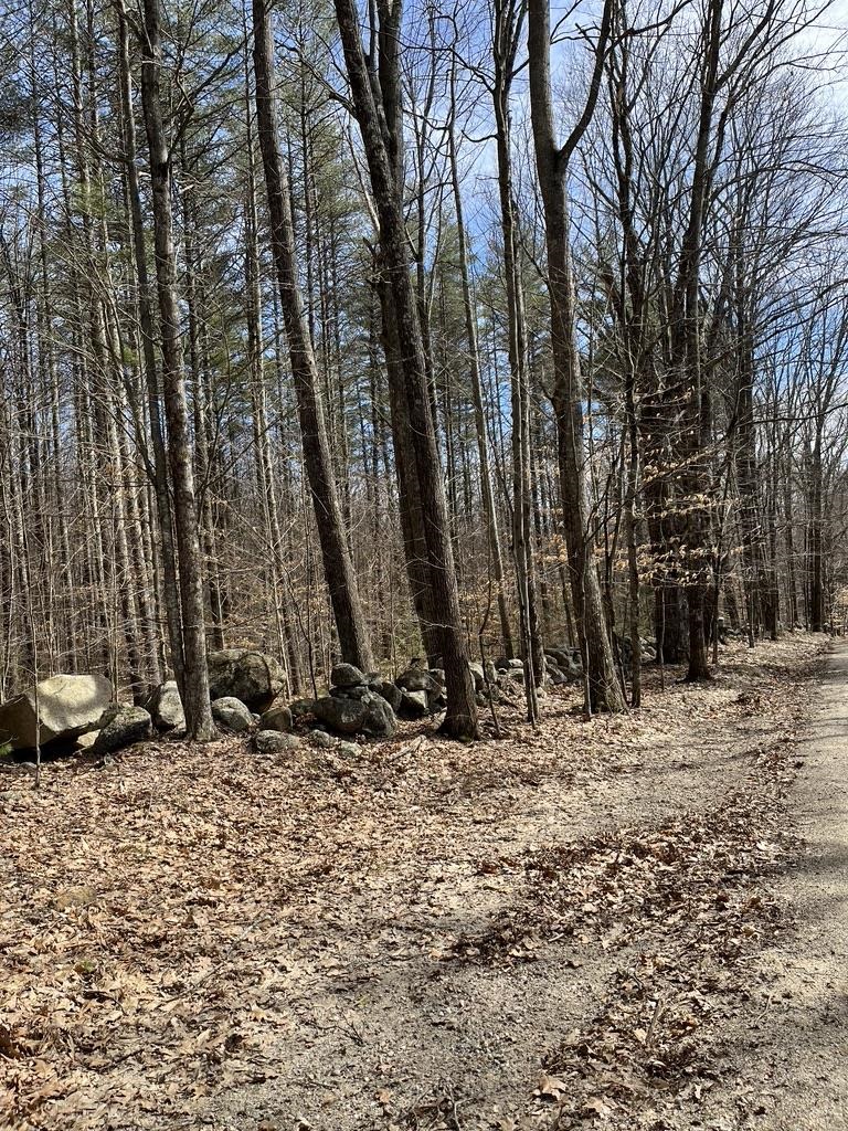 Gerrish Road, Unit 4343 Webster, NH 03303 - Photo 5 of 15