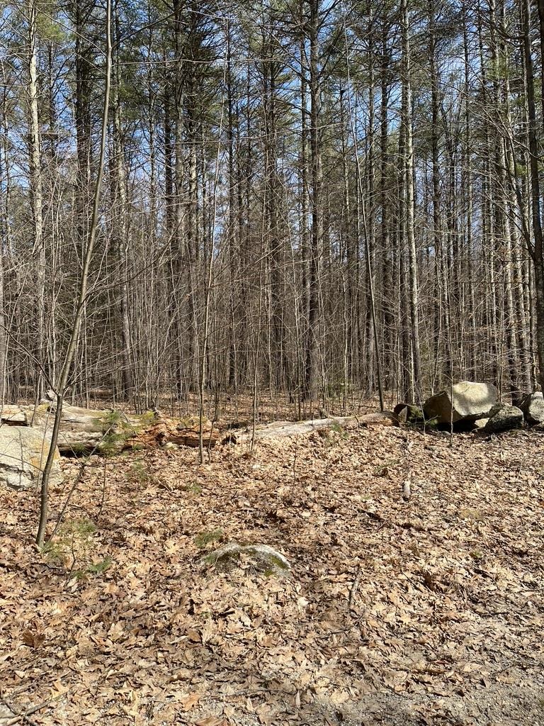 Gerrish Road, Unit 4343 Webster, NH 03303 - Photo 6 of 15