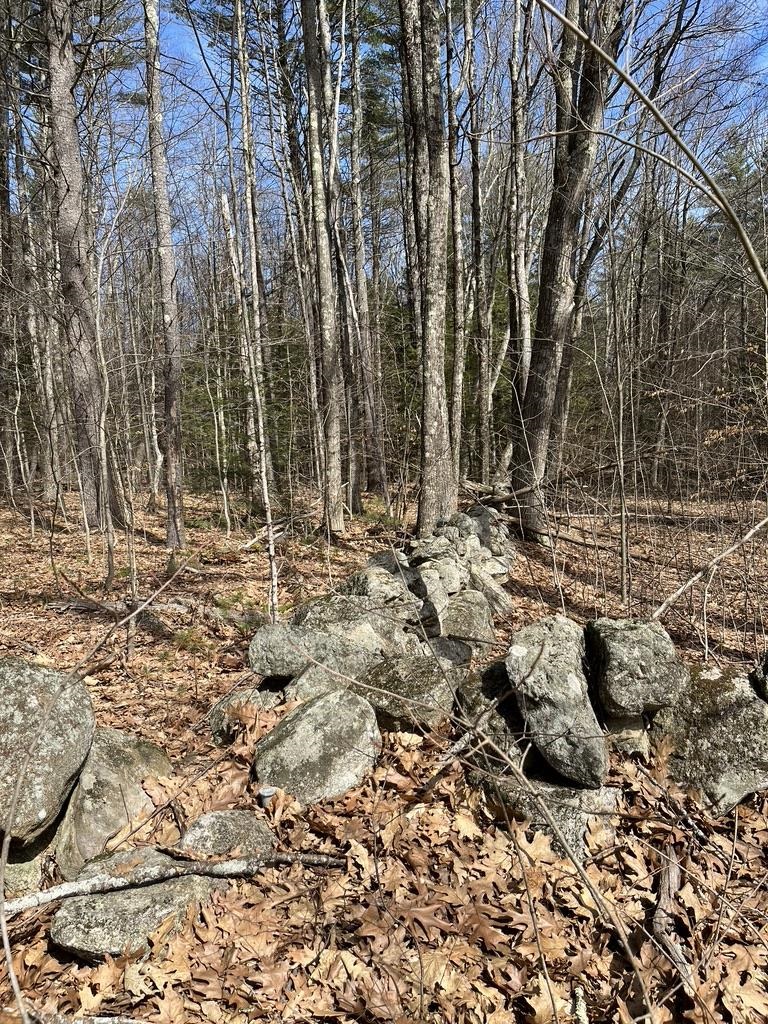 Gerrish Road, Unit 4343 Webster, NH 03303 - Photo 8 of 15