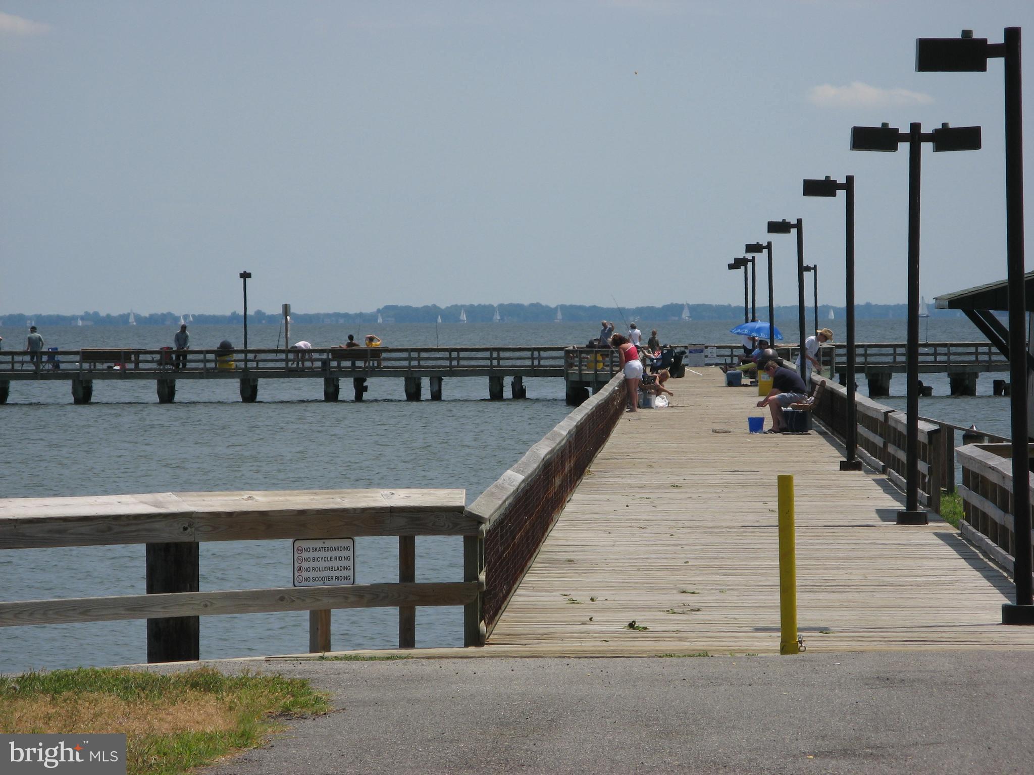Lot 23 Talbot Road Stevensville, MD 21666 - Photo 8 of 8 Romancoke Pier for Fishing and Kayaking