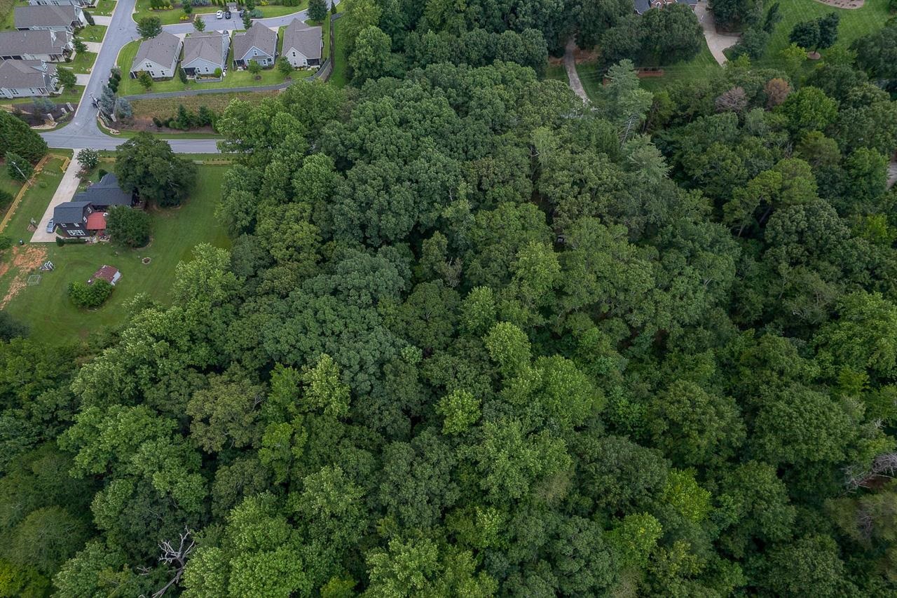 415 Phillips Road Greer, SC 29650 - Photo 16 of 20 Gallery Image 16