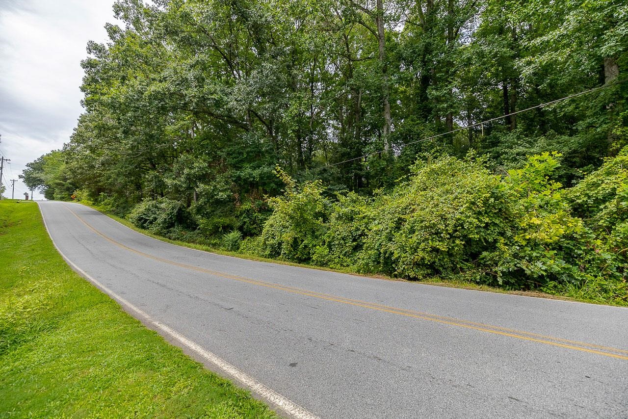 415 Phillips Road Greer, SC 29650 - Photo 3 of 20 Gallery Image 3