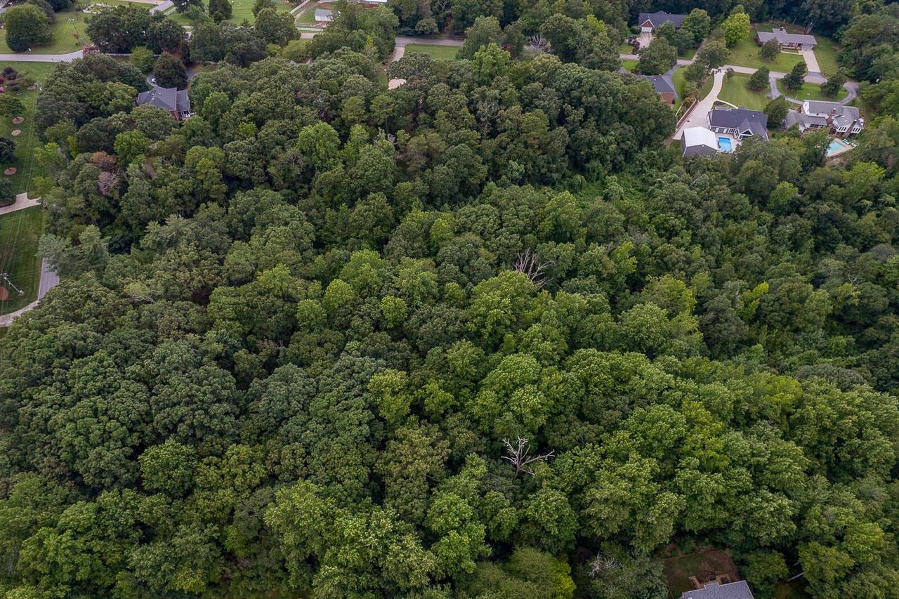 415 Phillips Road Greer, SC 29650 - Photo 5 of 20 Gallery Image 5