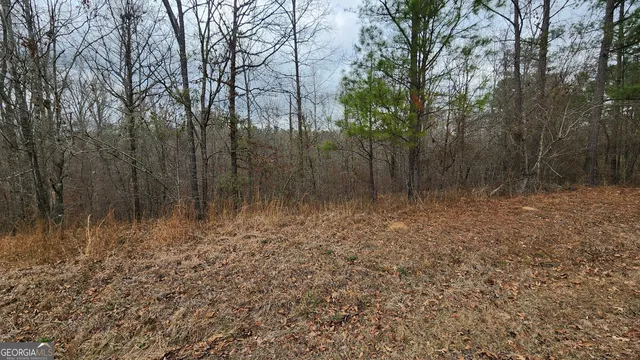 $16,000 | 0 Ethridge Place, Gray, GA 31032