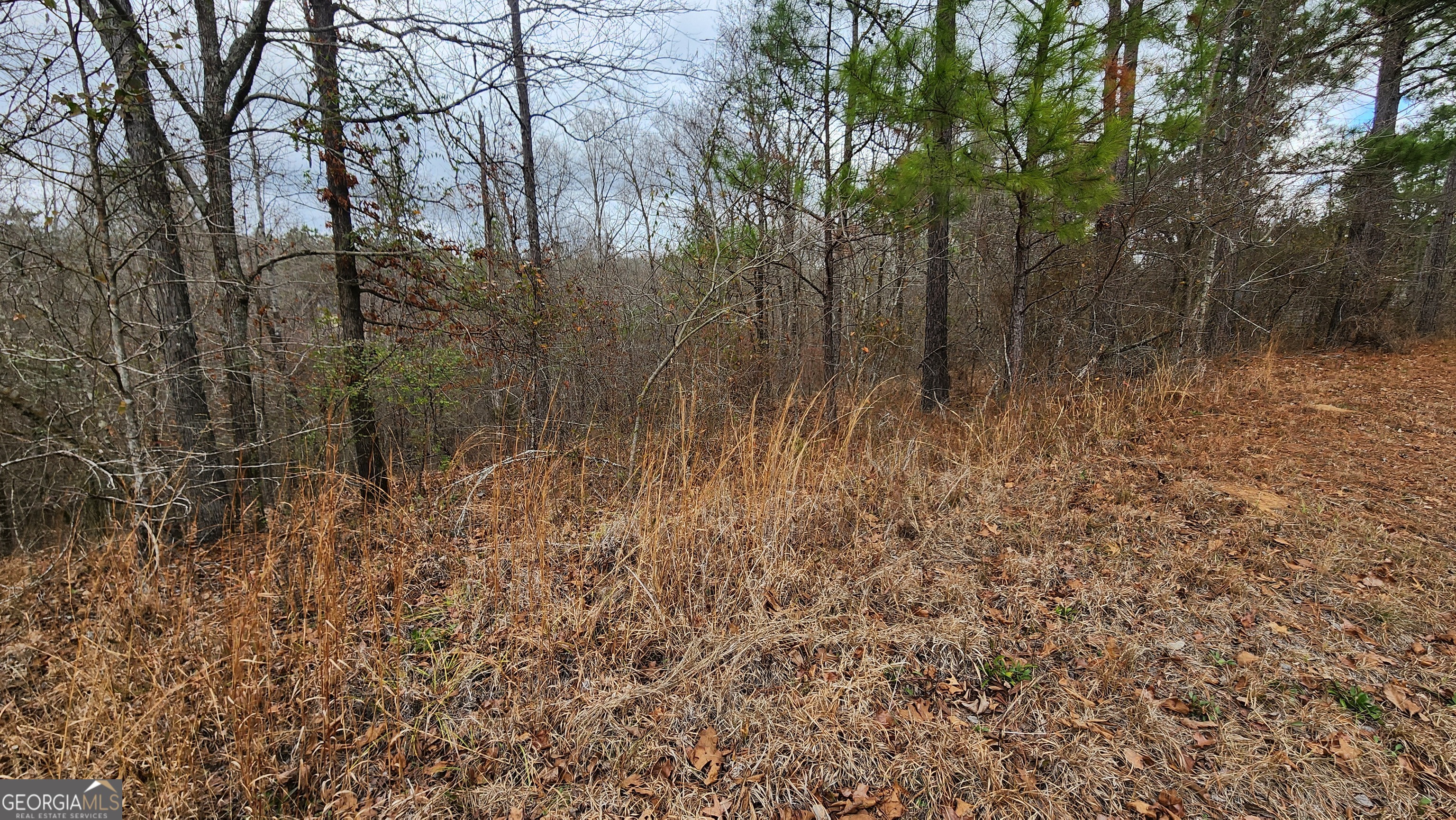 0 Ethridge Place Gray, GA 31032 - Photo 3 of 6