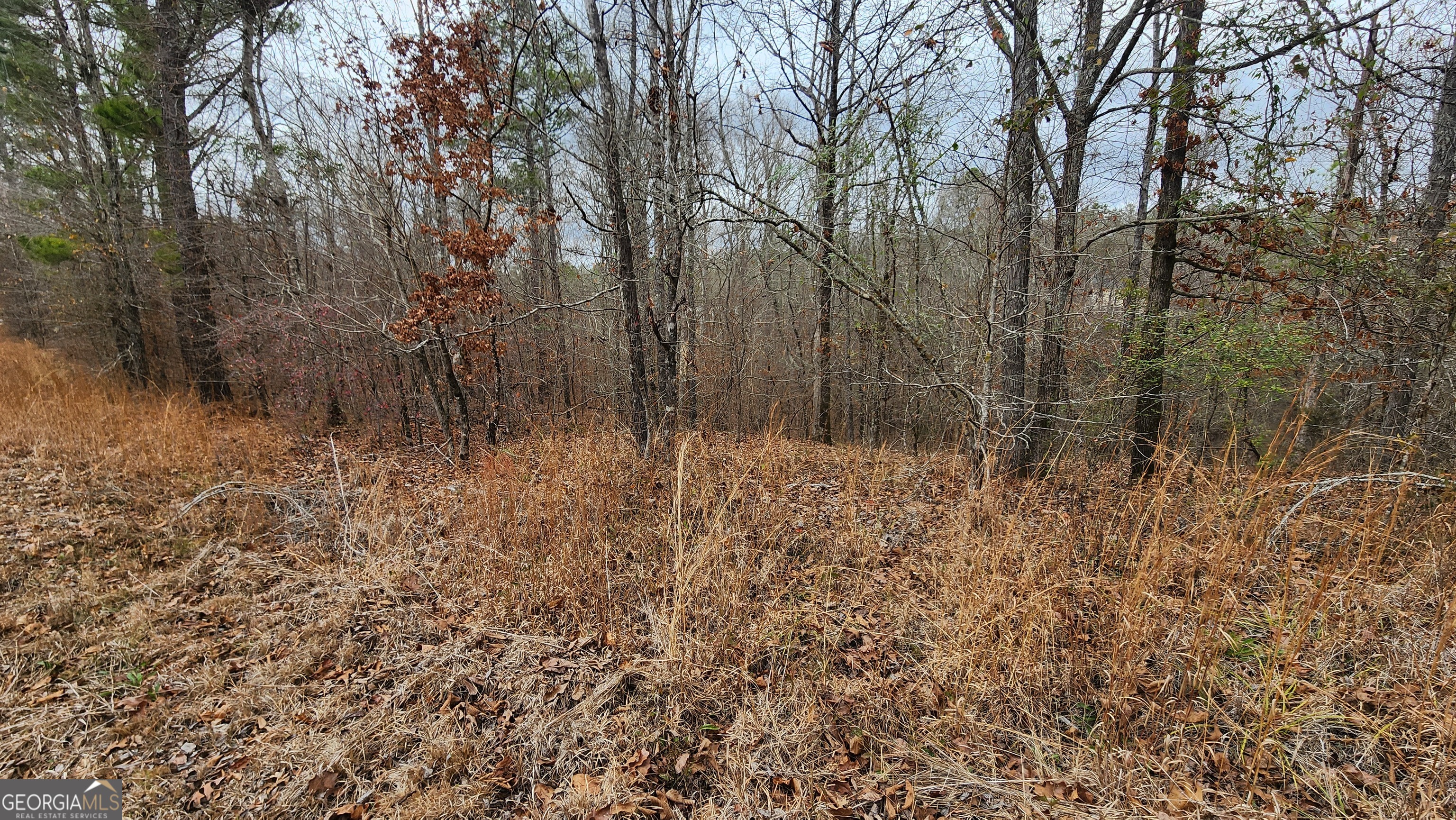 0 Ethridge Place Gray, GA 31032 - Photo 4 of 6