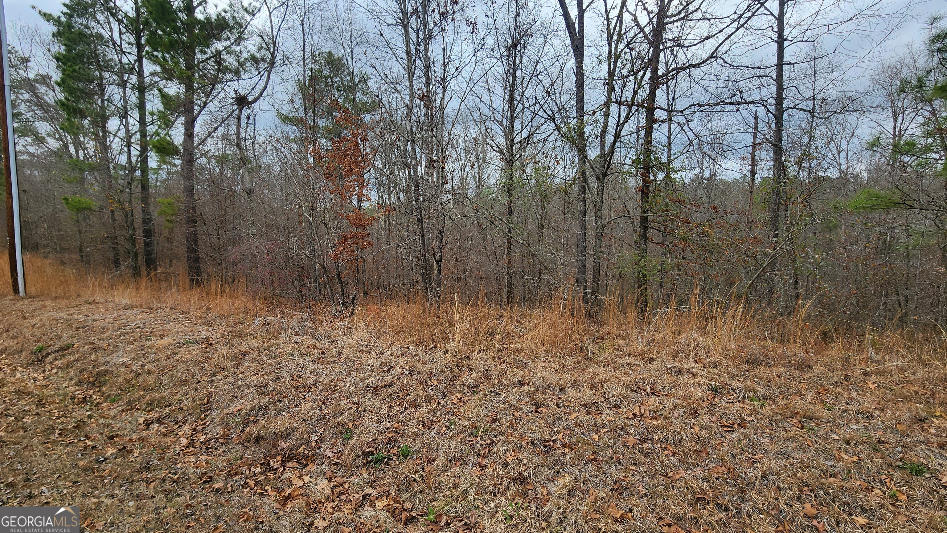 0 Ethridge Place Gray, GA 31032 - Photo 5 of 6