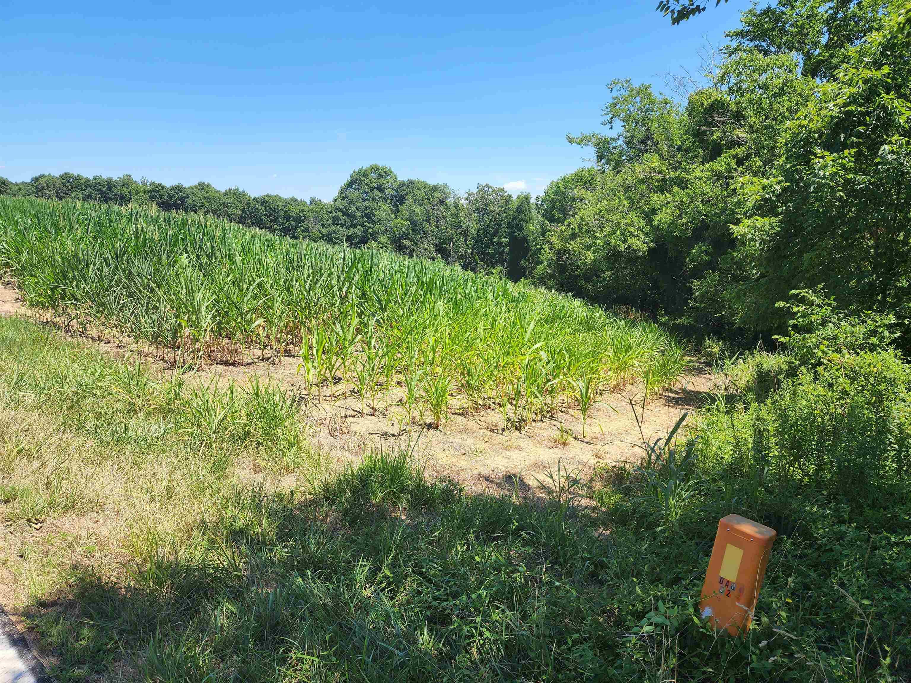 12670 St Road Tell City, IN 47586 - Photo 3 of 7