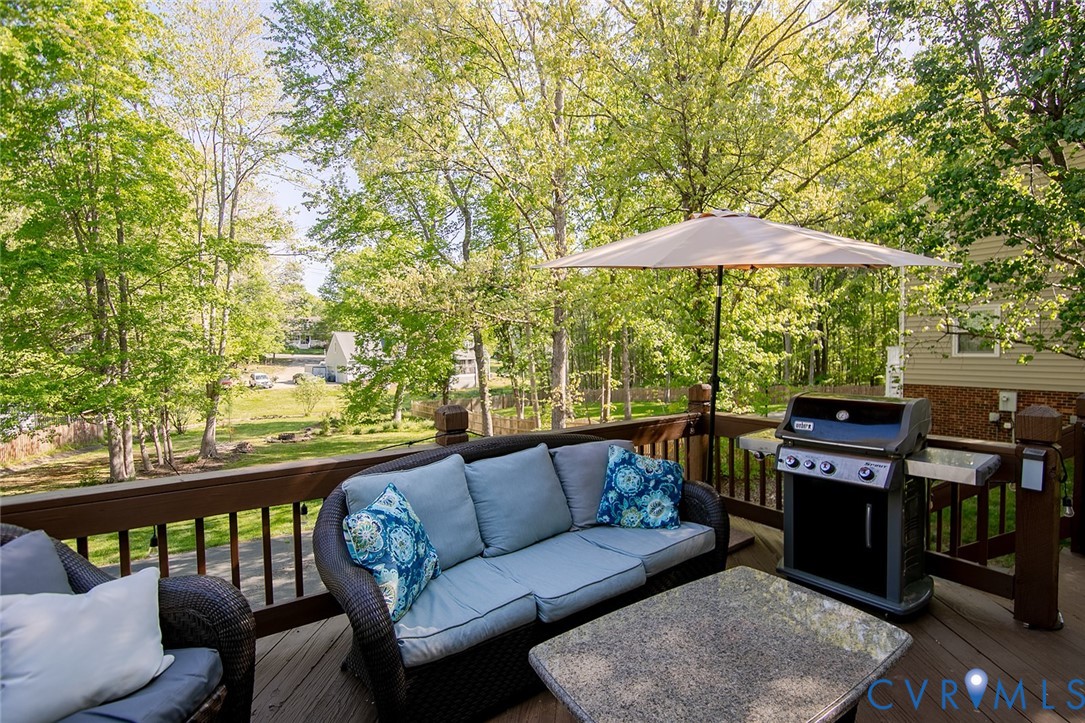 13606 Paigewood Road Midlothian, VA 23114 - Photo 67 of 73