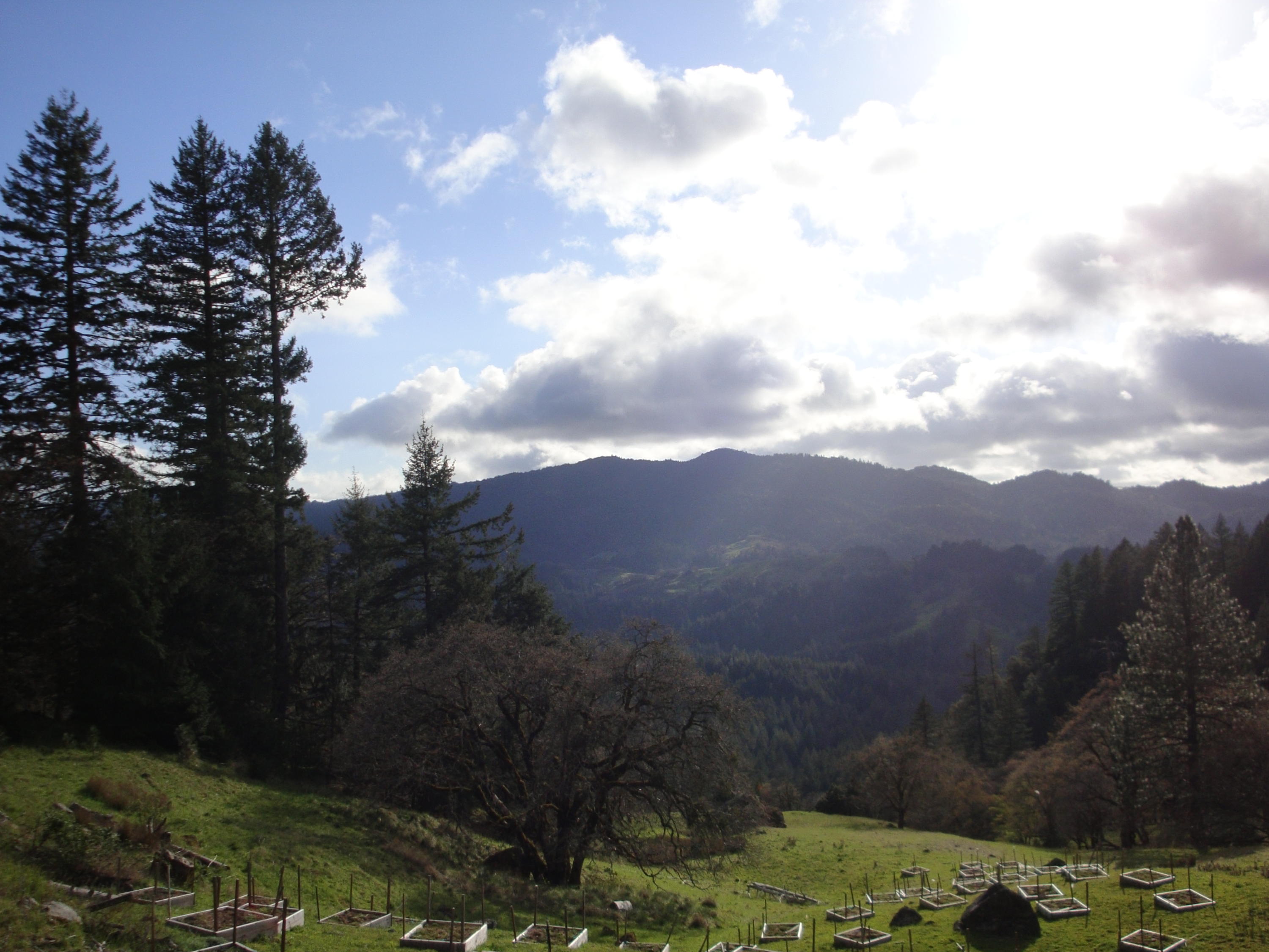0 Buck Mountain Road Bridgeville, CA 95526 - Photo 31 of 33